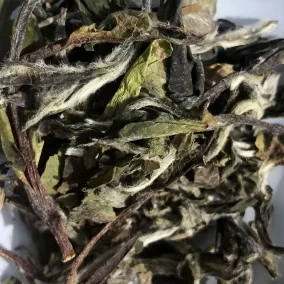 Bílý čaj Bai Mu Dan / Bílá pivoňka 50g Specialty Tea